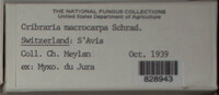 Image Associated With the Occurence